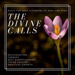 The Divine Calls (Music For Deep Cleansing Of Soul And Mind, Rejuvenation, Therapy, Self Assertiveness, Focus Gaining, Spiritual Growth)