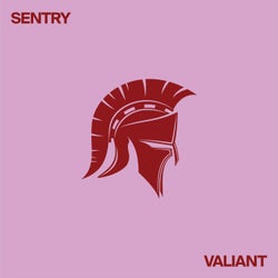 Sentry 07