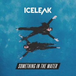 Something In The Water (Extended Mix)