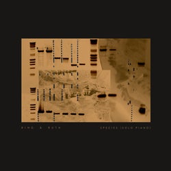 Species - solo piano