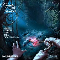 Holding On (The Remixes)