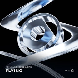 Flying