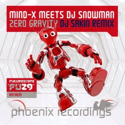 Zero Gravity (Futurescope 29 Anthem) [DJ Sakin Remix]
