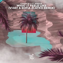 What It Feels Like (Vijay & Sofia Zlatko Remix)