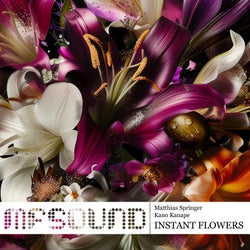 Instant Flowers
