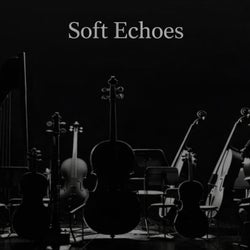 Soft Echoes