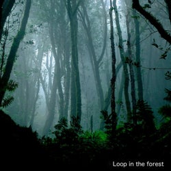 Loop in the forest