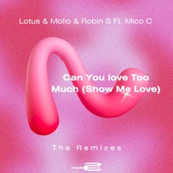 Can You love Too Much (Show Me Love) (The Remixes)