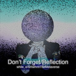 Don't Forget/Reflection
