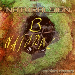 B Natoral Ambient Dreams