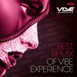 Best Remix Of Vibe Experience