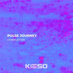 Pulse Journey