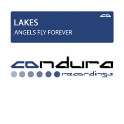 Angels Fly Forever (Original Mix)
