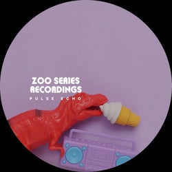 Pulse Echo