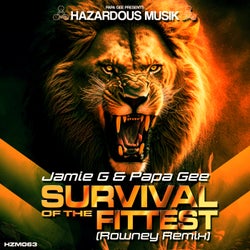 Survival Of The Fittest (Rowney Remix)