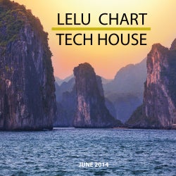 LELU_SESSION_TECH_HOUSE_JUNIO_2014