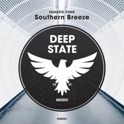 Southern Breeze (Original Mix)