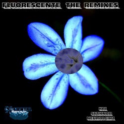Fluorescente The Remixes