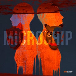 Microchip