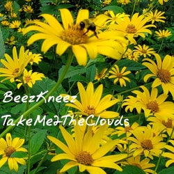 BeezKneez
