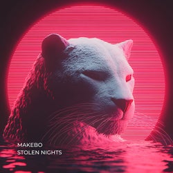 Stolen Nights