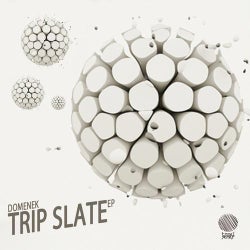 Trip Slate