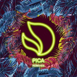 Pica (Laidback Luke Remix)
