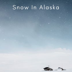 Snow In Alaska