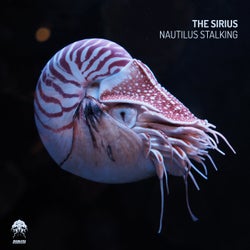 Nautilus Stalking