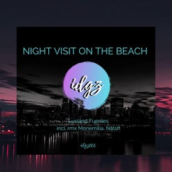 Night Visit on the Beach
