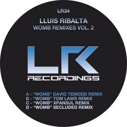 Womb Remixes Vol. 2