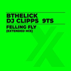 Feeling Fly (Extended Mix)