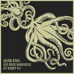 Fly Rabbit Fly