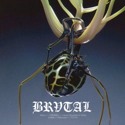 BRV007