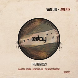 Avenir, the Remixes