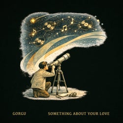 Something About Your Love
