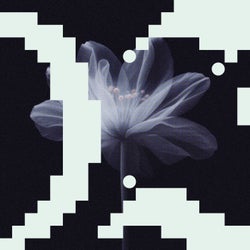 In My Mind