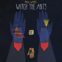 Watch The Ants