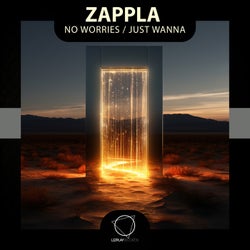 No Worries / Just Wanna