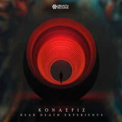 Near Death Experience - Radio Version