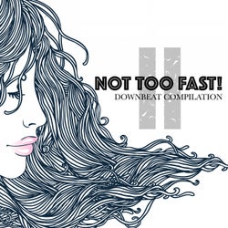 Not Too Fast! 2: Downbeat Compilation