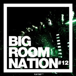 Big Room Nation Vol. 12