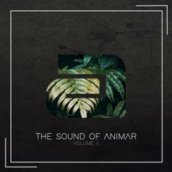 The Sound of Animar Volume 4