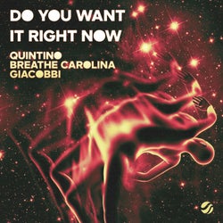 Do You Want It Right Now