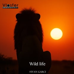 Wild Life