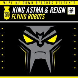 Flying Robots EP