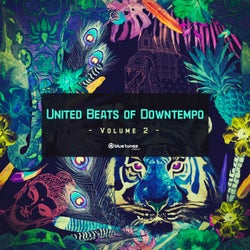 United Beats of Downtempo, Vol. 2