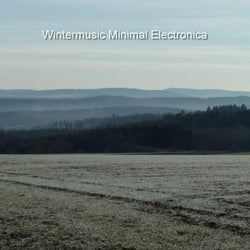 Wintermusic Minimal Electronica (Volume 4)