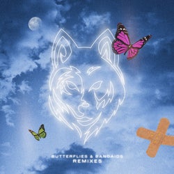 Butterflies & Bandaids (Extended Remixes)