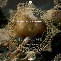 I Can't Take It Anymore